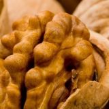 Саженцы грецкого ореха от производителя