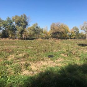 Продаю земельный участок для садоводства на берегу реки Кубань