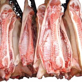 Мясо говядины, птицы, баранины, свинины, отгрузка оптом от 1 тн.